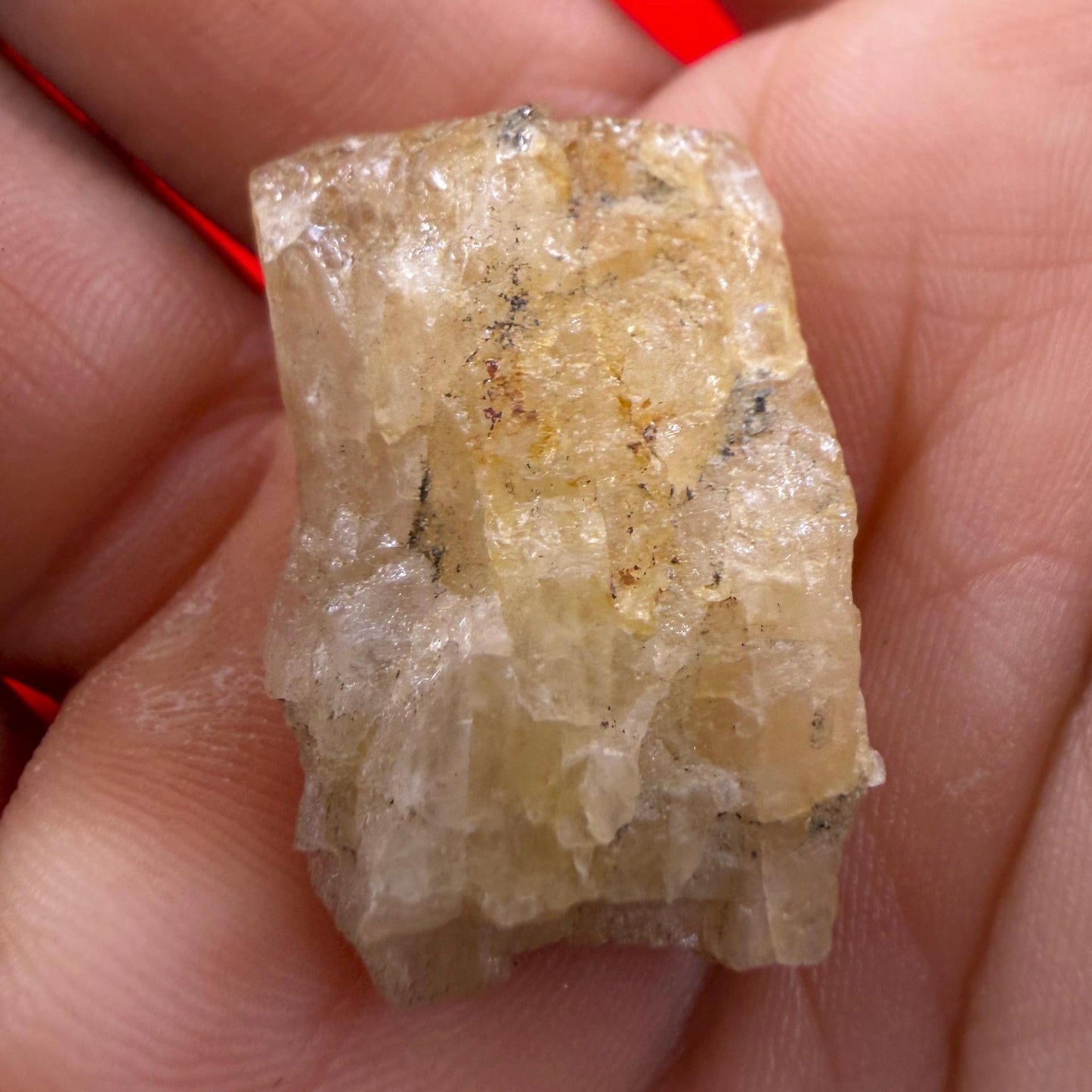 Golden Brazilian Phenacite Crystal: High-Vibration Gemstone, 8.25g/41.25ct