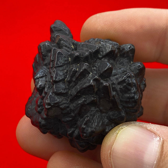 Rare Horned Prophecy Stone Cluster: Egyptian Z Stone, 58.84 grams