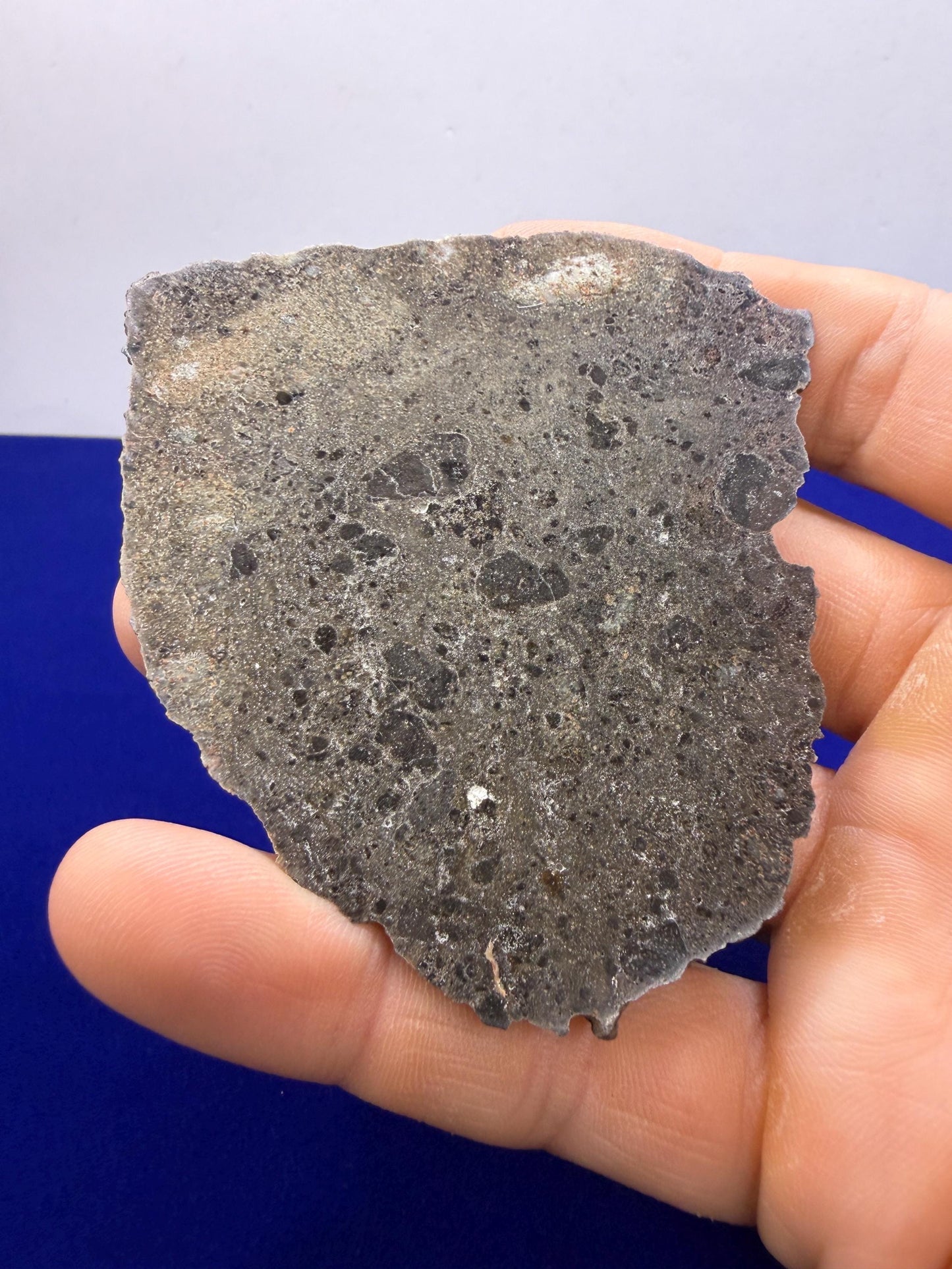 Ash Shaqqah 002 Lunar Meteorite | Moon Rock 27.16 Troctolite