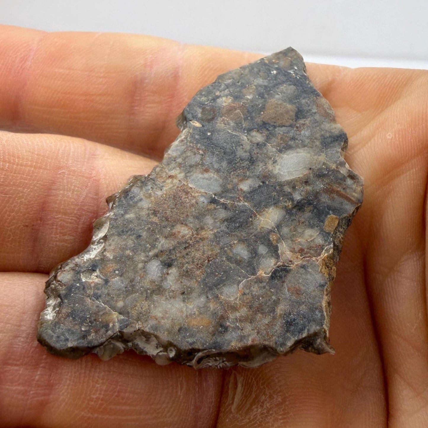 NWA 18045 Lunar Meteorite Slice, Newly Classified, Translucent, Authentic Moon Rock, Melt Breccia, 6.36 grams