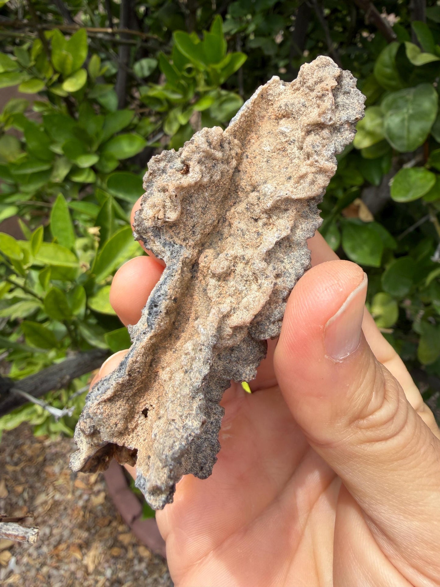 Sahara Desert Fulgurite: Lightning Glass, Fossilized Lightning, Energy Work, 14.55 grams