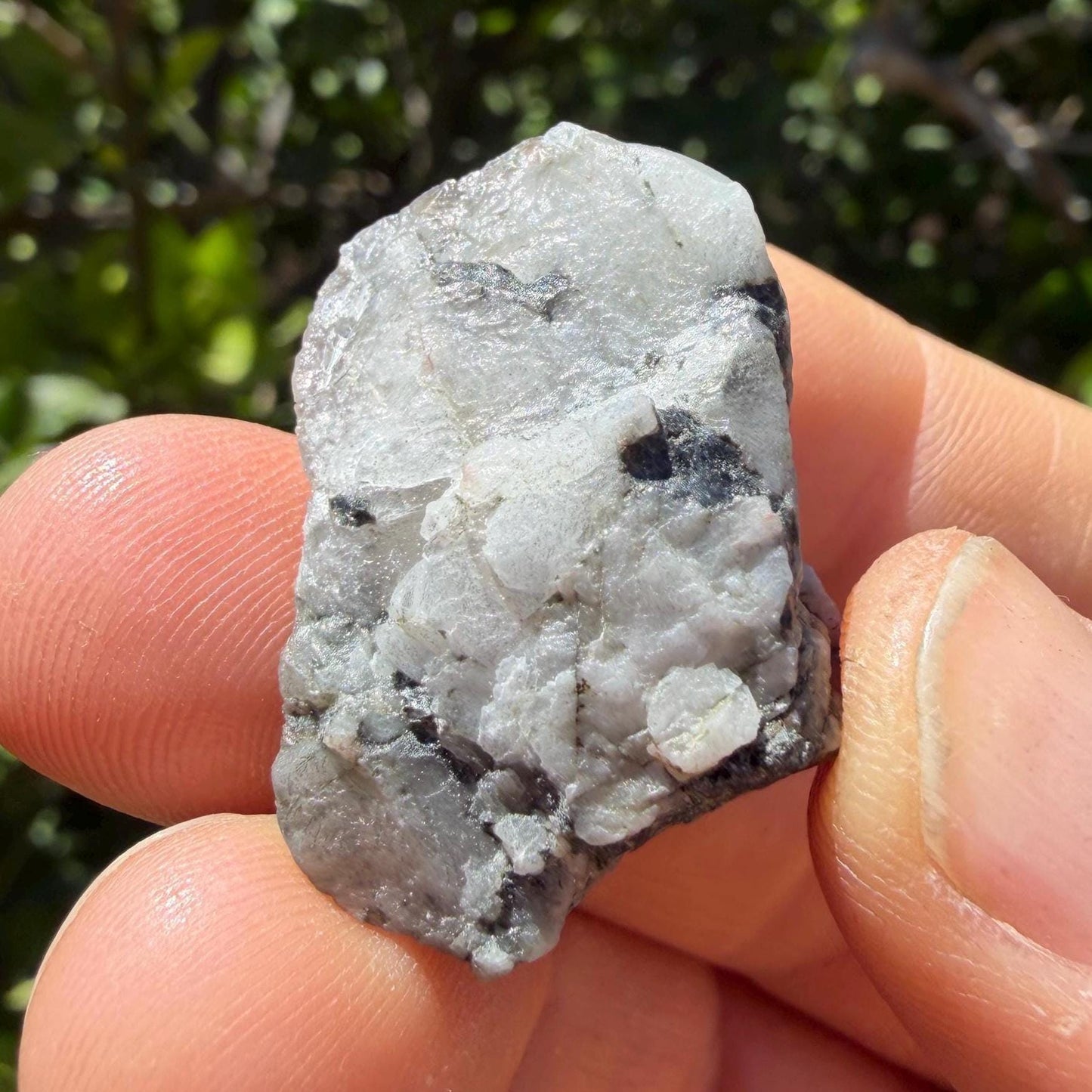 Brazilian Phenacite Crystal: High Vibration Meditation Crystal, 15.60g/78ct