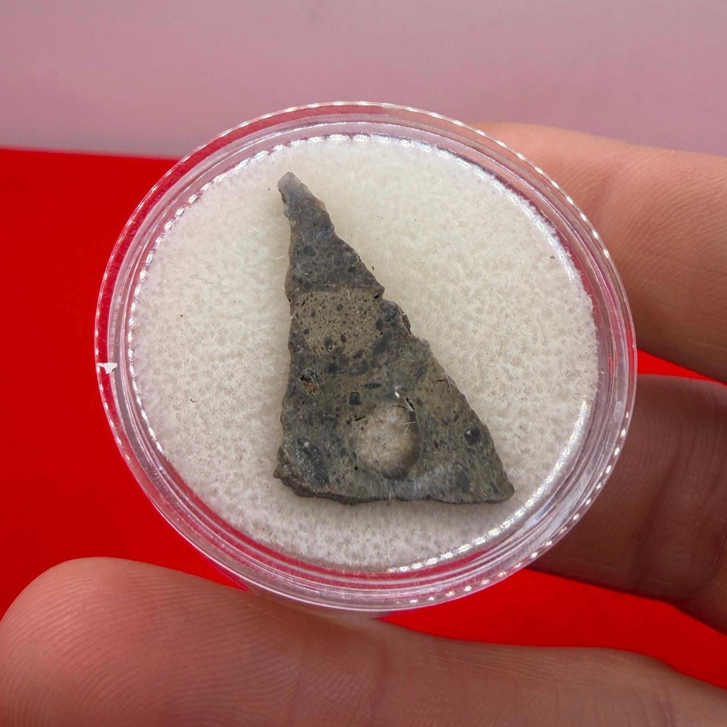 Oued el Hamim 001 Lunar Meteorite Slice, Aqueously Altered Moon Rock (1.48g)