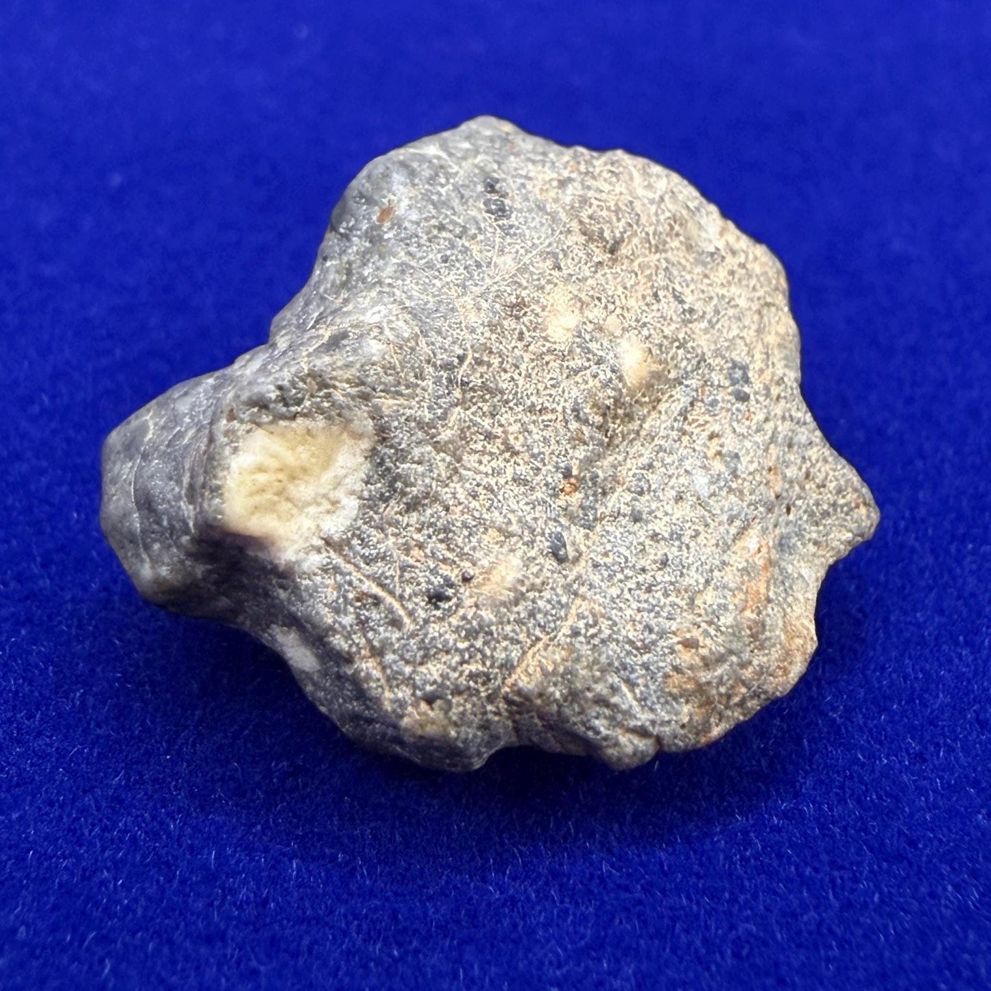 Tisserlitine 003 Lunar Meteorite: Feldspathic Breccia Moon Rock, 4.43 grams