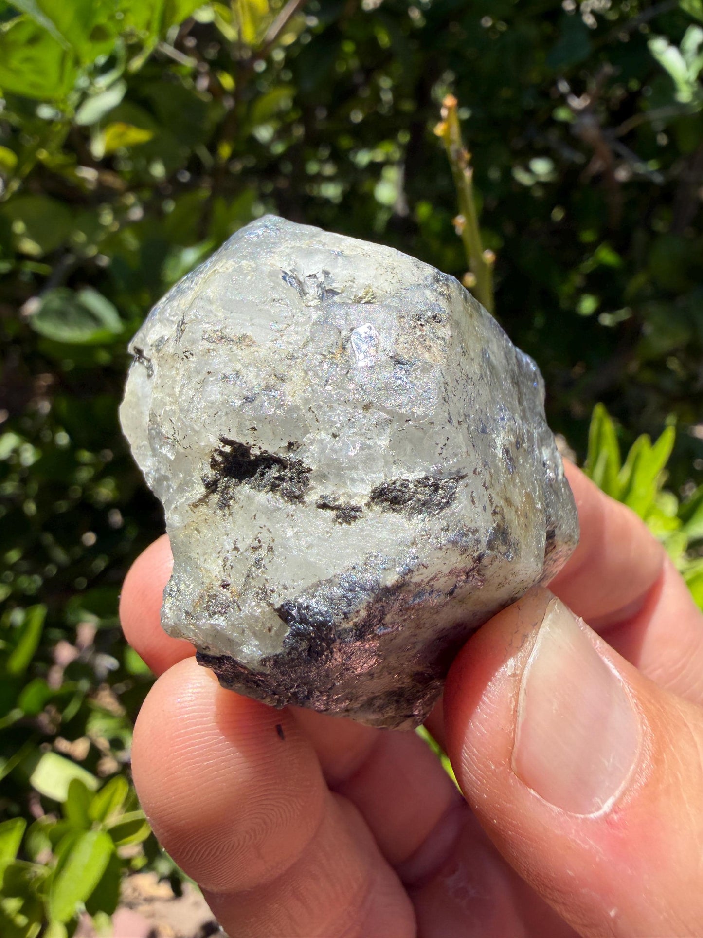 Brazilian Phenacite Crystal w/ Muscovite, Carnaíba, Brazil, 79.72g/398.6ct