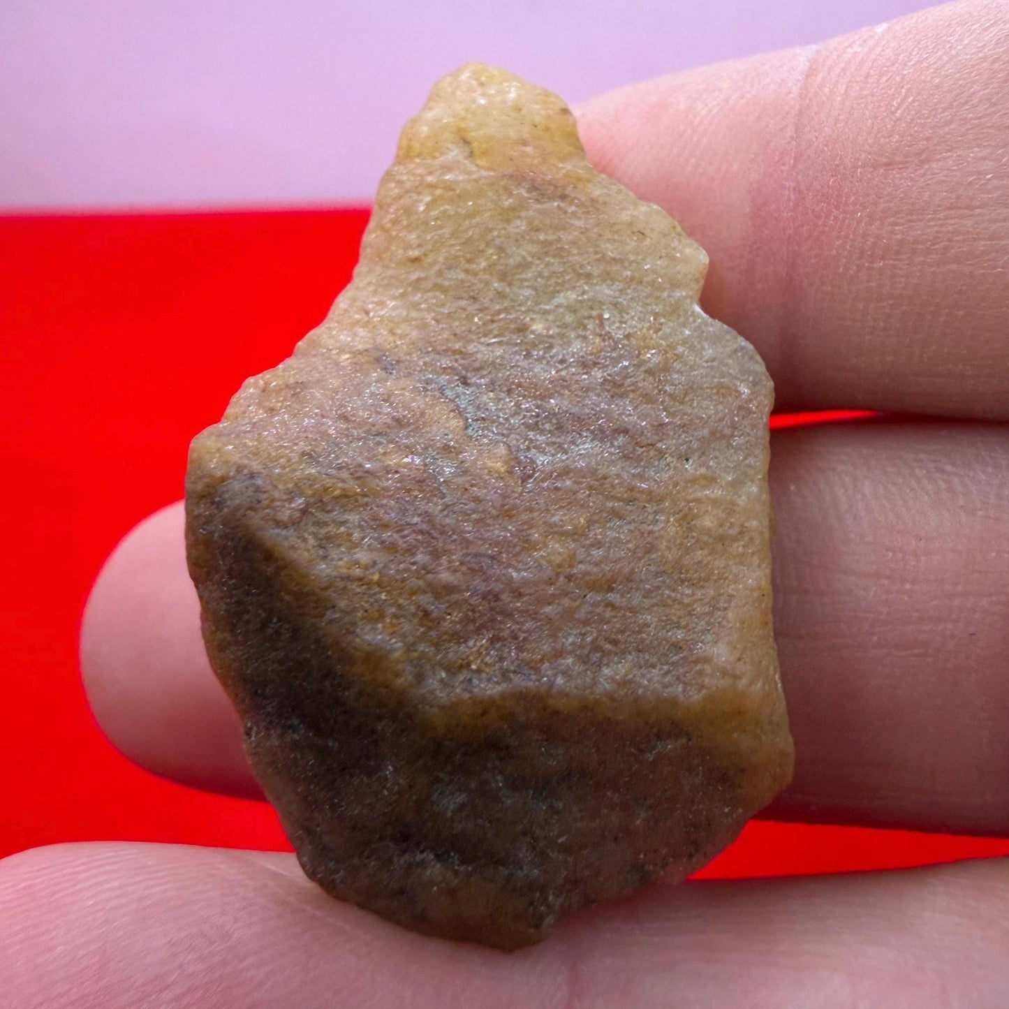 Golden Brazilian Phenacite Crystal: High-Vibration Gemstone, 10.22g/51.1ct
