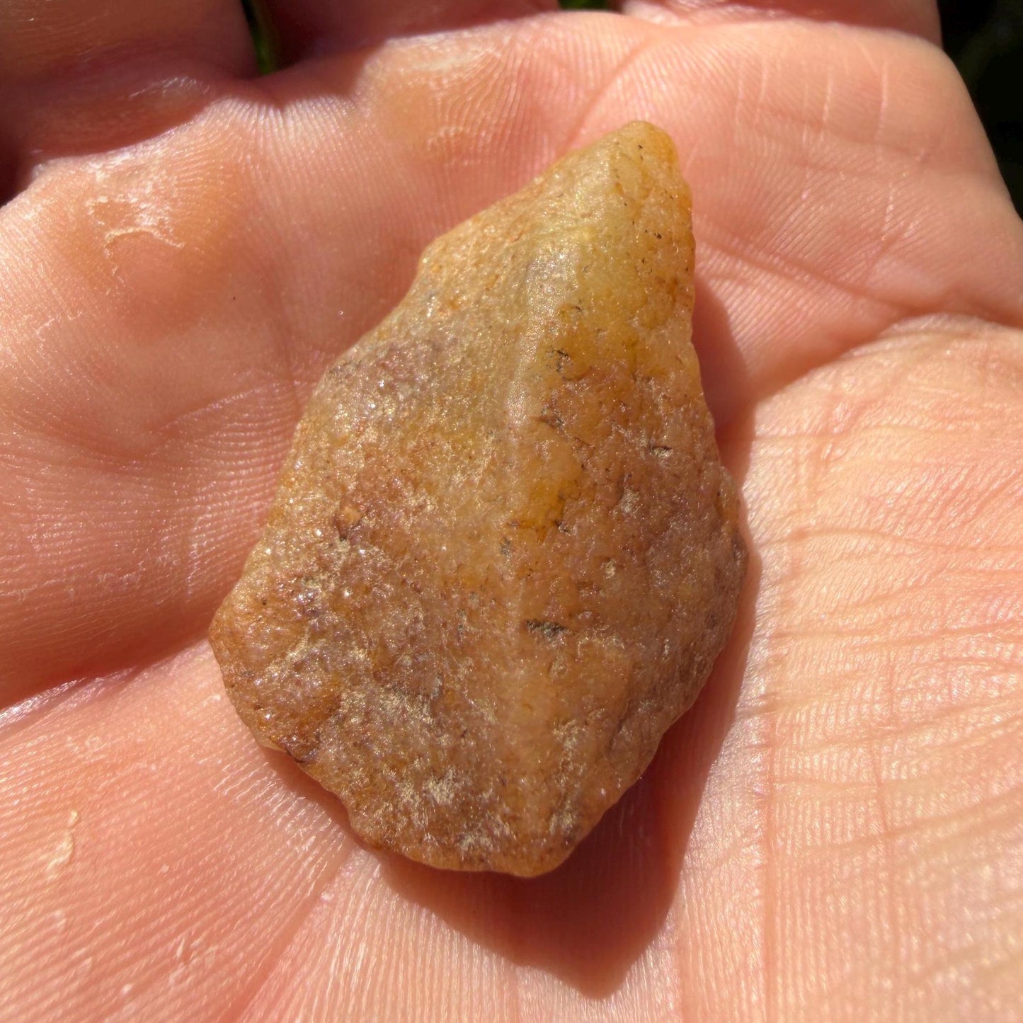 Golden Brazilian Phenacite Crystal: High-Vibration Gemstone, 10.22g/51.1ct