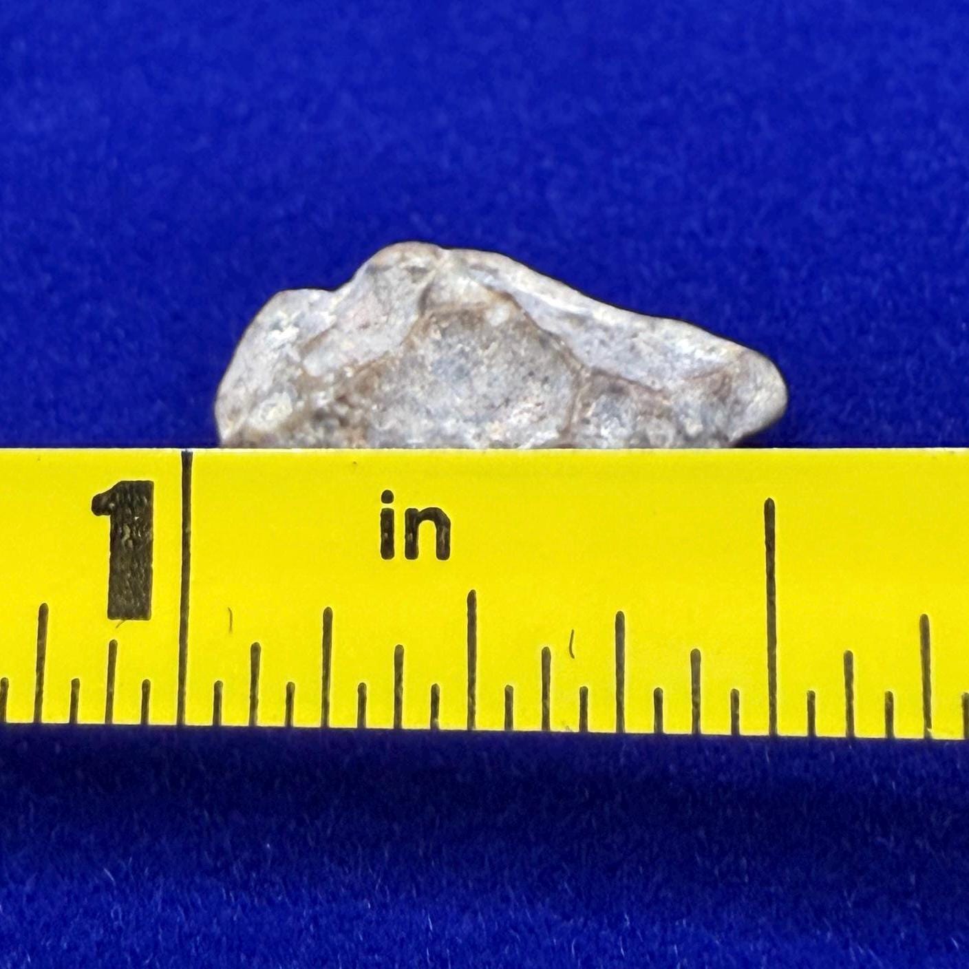 NWA 13974 Lunar Meteorite: Feldspathic Breccia, Moon Rock, 0.57 grams