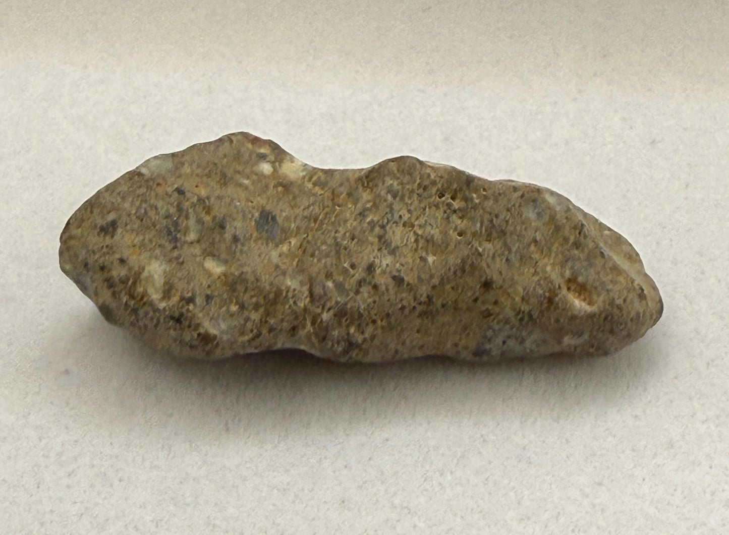 NWA 13974 Lunar Meteorite: Feldspathic Breccia, Authentic Moon Rock, 2.41 grams