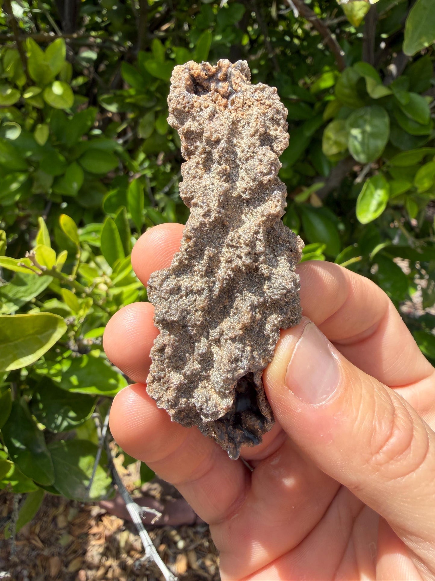 Sahara Desert Fulgurite: Lightning Glass, Fossilized Lightning, Energy Work, 12.38 grams
