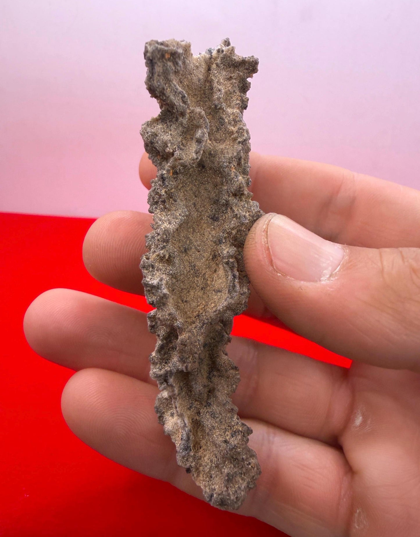 Sahara Desert Fulgurite: Lightning Glass, Fossilized Lightning, Energy Work, 10.30 grams