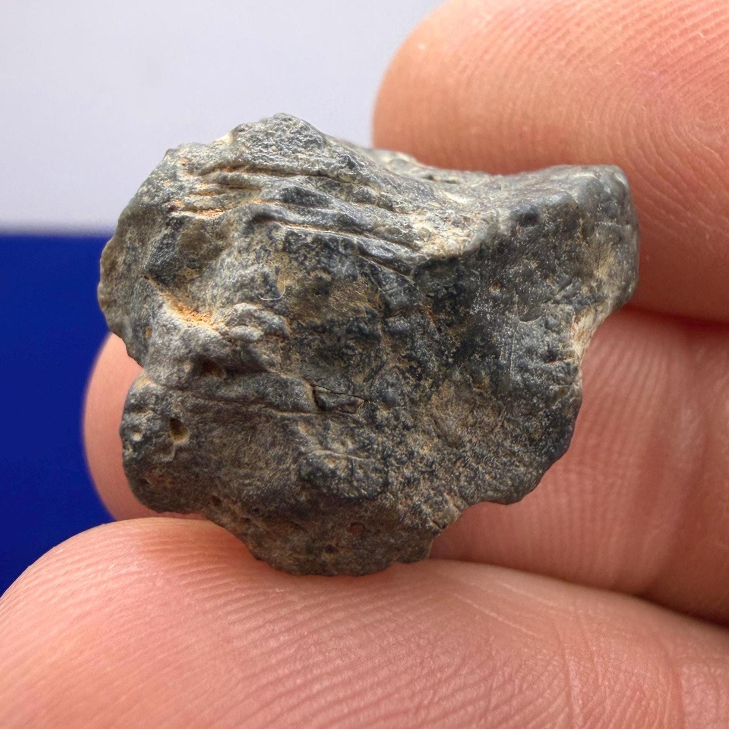 Tisserlitine 003 Lunar Meteorite: Feldspathic Breccia Moon Rock, 4.43 grams