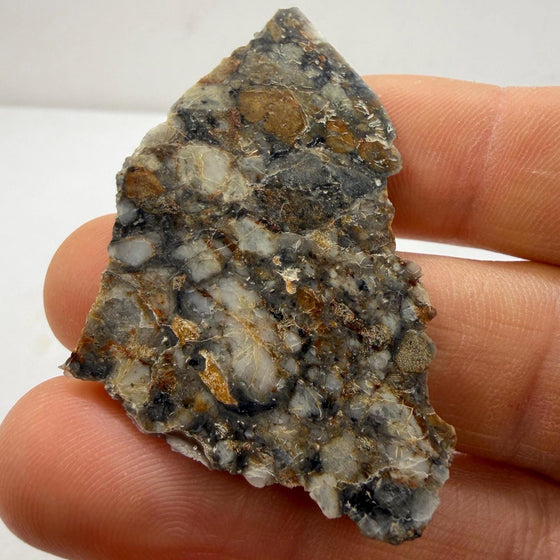 NWA 18045 Lunar Meteorite Slice, Newly Classified, Translucent, Authentic Moon Rock, Melt Breccia, 6.36 grams