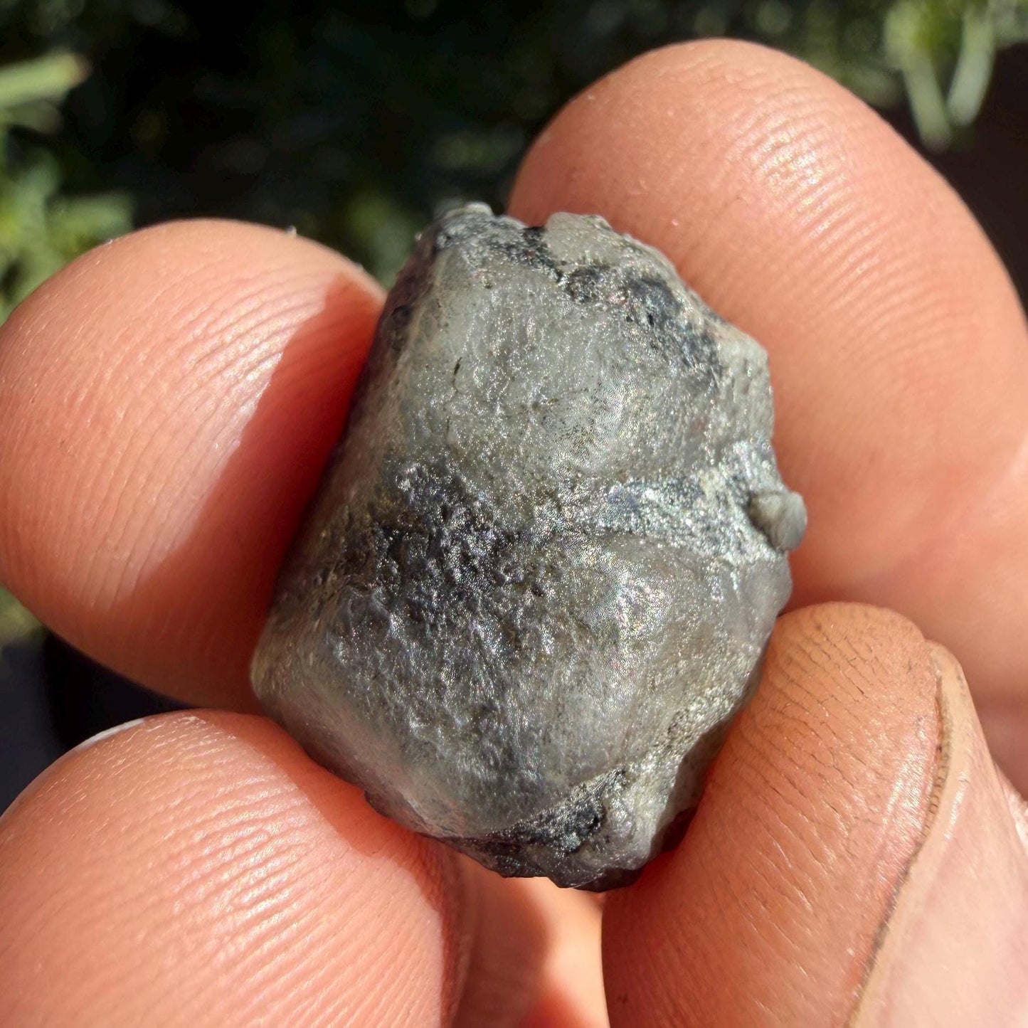 Brazilian Phenacite Crystal: Authentic Phenacite, 6.89g/34.45ct