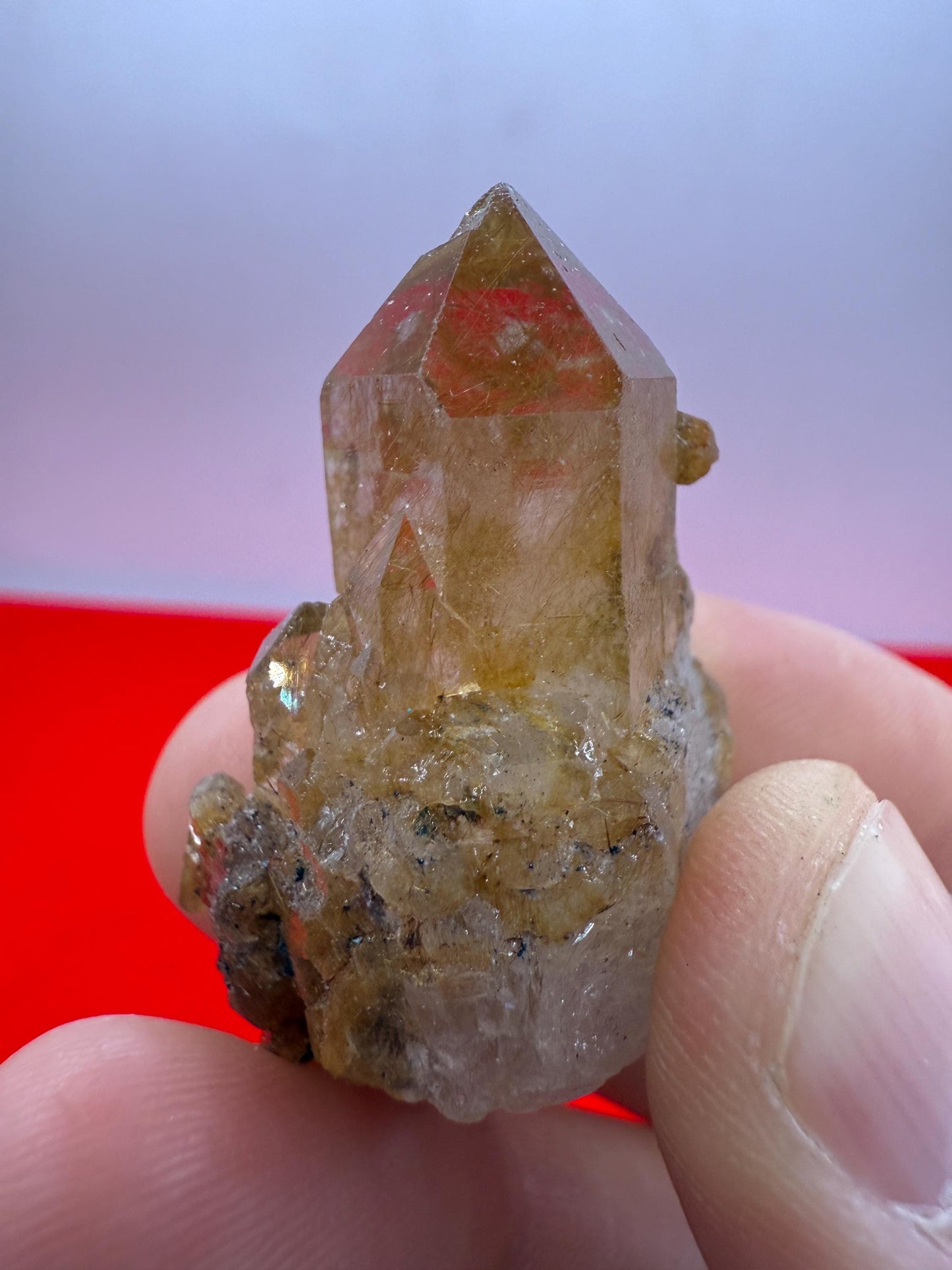 Golden Rutilated Quartz Crystal: Brazilian Fine Crystal, 18.98g