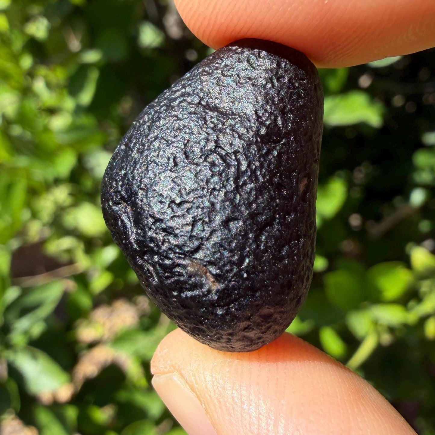 Saffordite Cintamani Specimen: Rare Arizona Pseudotektite, 8.77 grams