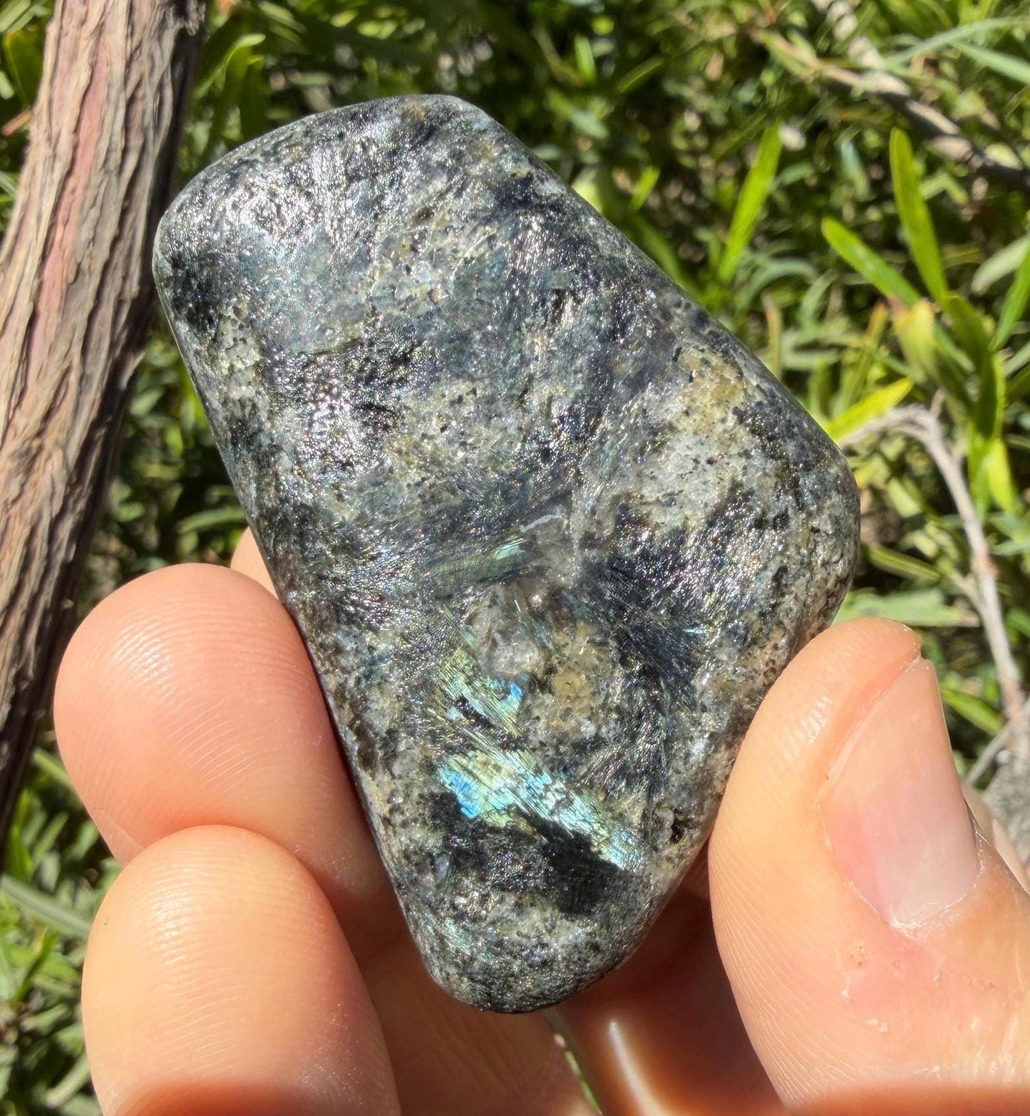 Rare Nuummite Crystal Finland, Genuine Sorcerer’s Stone, Iridescent Stone, 36.75g