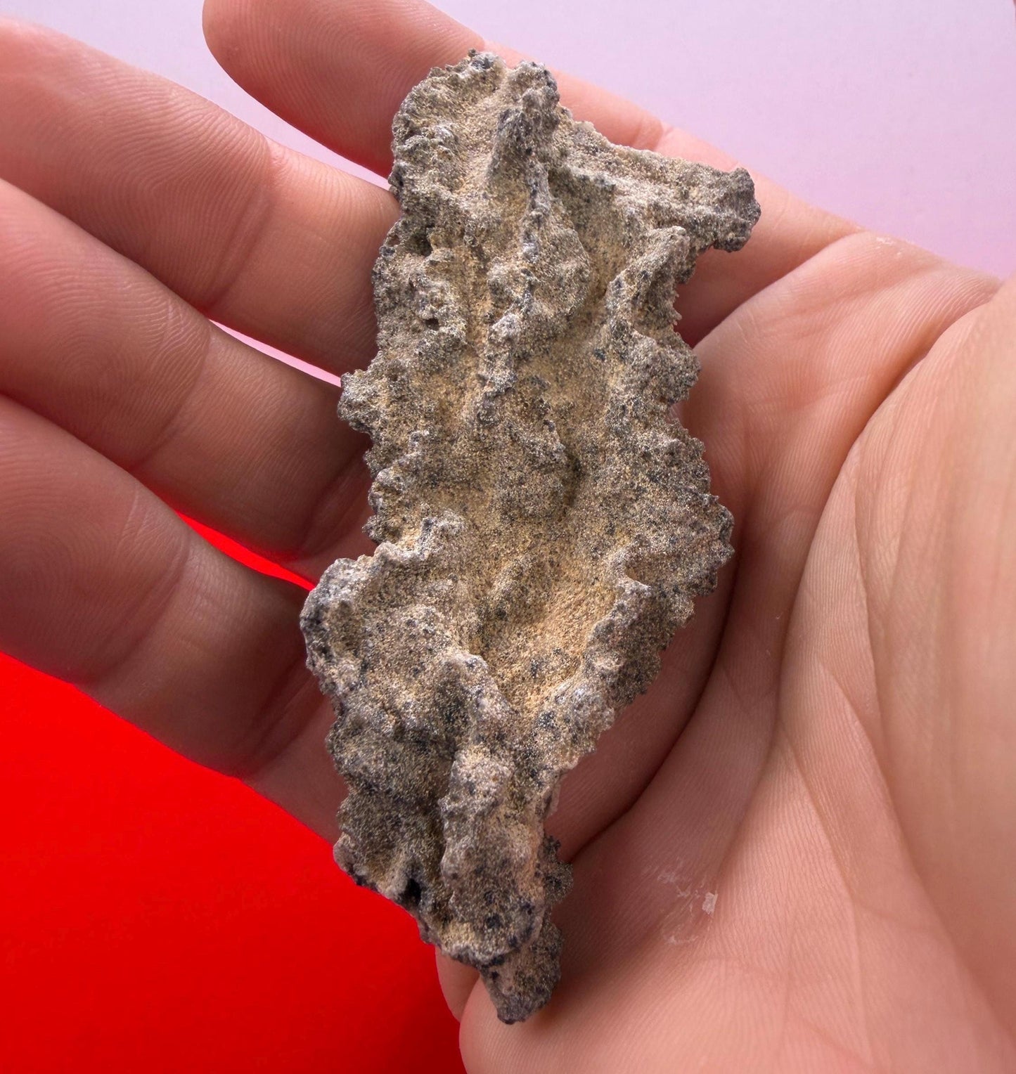 Sahara Desert Fulgurite: Lightning Glass, Fossilized Lightning, Energy Work, 10.30 grams