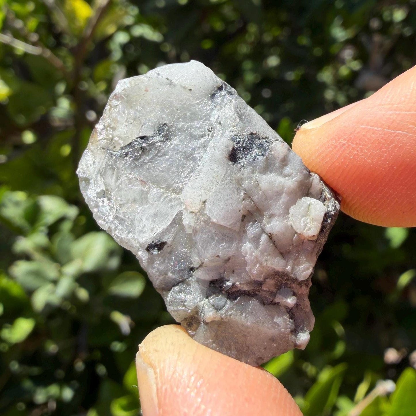 Brazilian Phenacite Crystal: High Vibration Meditation Crystal, 15.60g/78ct