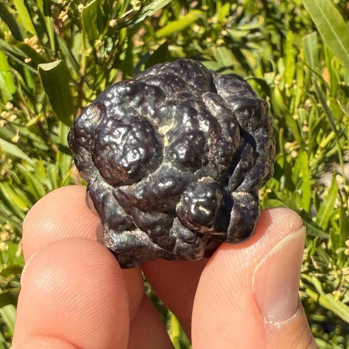 Egyptian Prophecy Stone: Abstract Z Stone for Dreamwork, Reiki, 34.63 grams