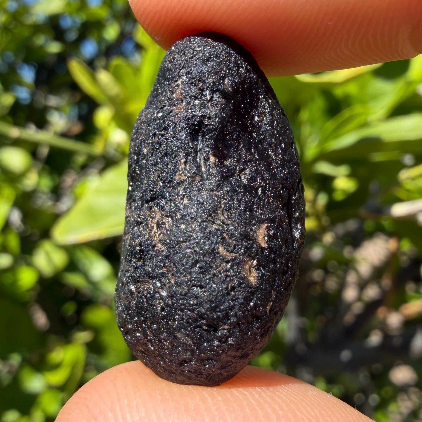 Saffordite Stone, Rare Cintamani, Elongated, Arizona, Pseudo Tektite, 8.18 Grams