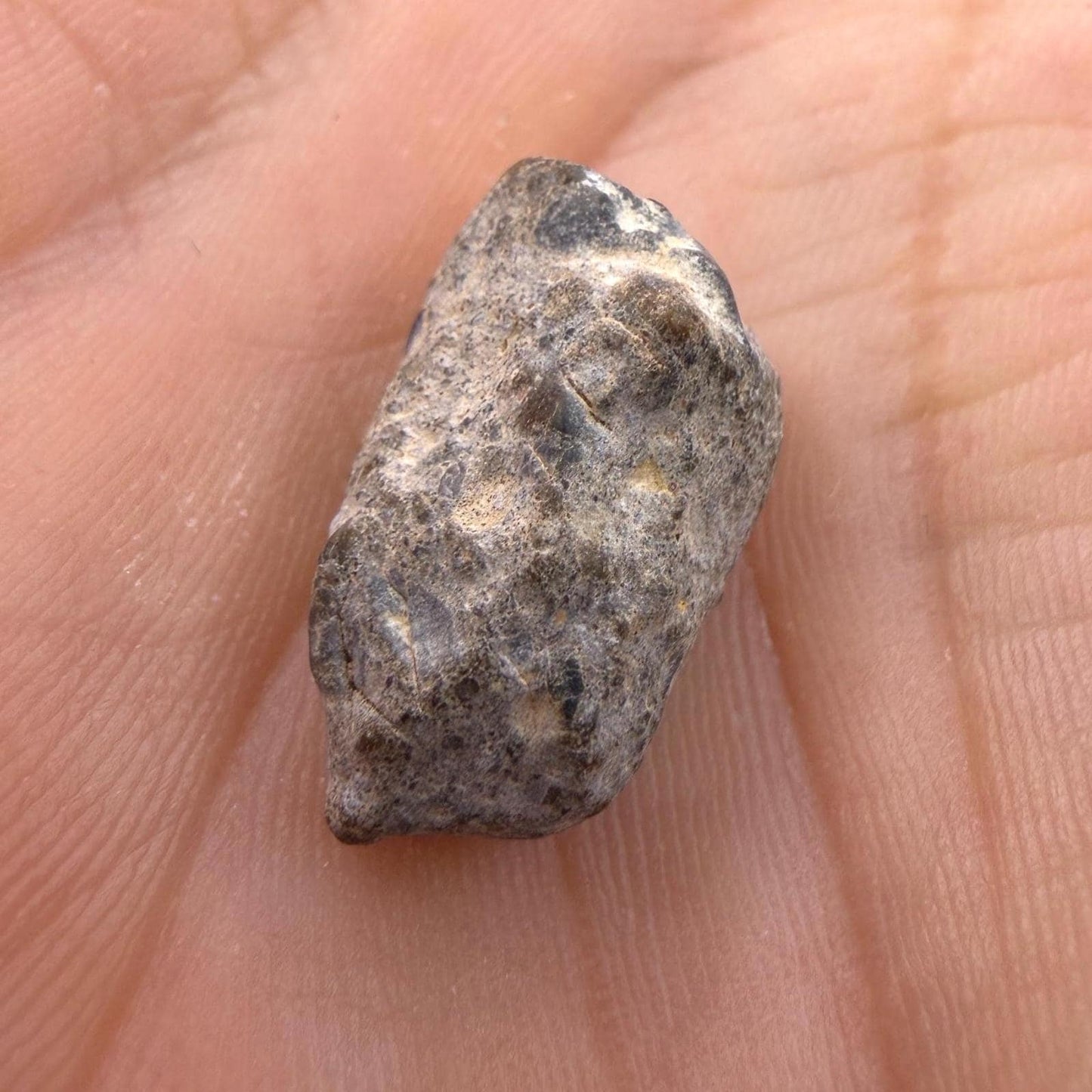 NWA 13974 Lunar Meteorite -Feldspathic Breccia, Authentic Meteorite, 2.06 grams