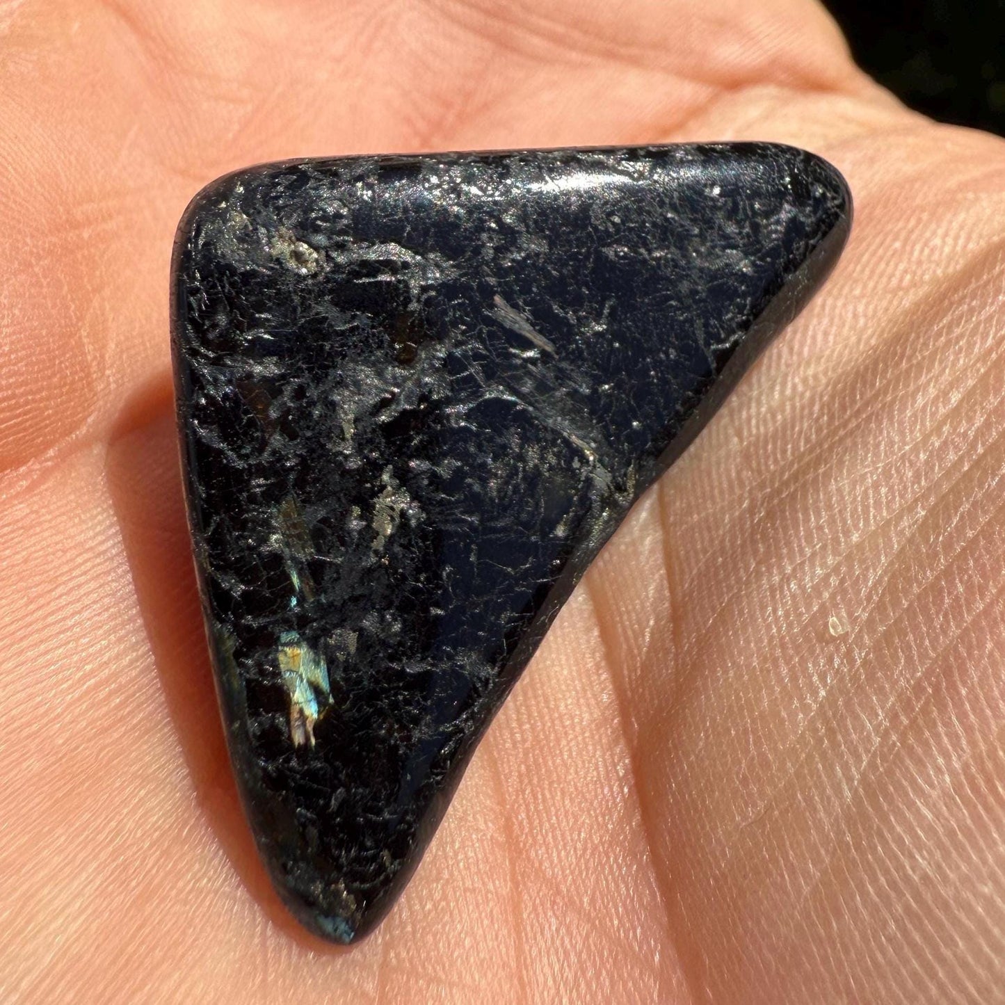 Polished Nuummite Stone: Greenland Gemstone with Display Case, Talisman, 18.89 grams