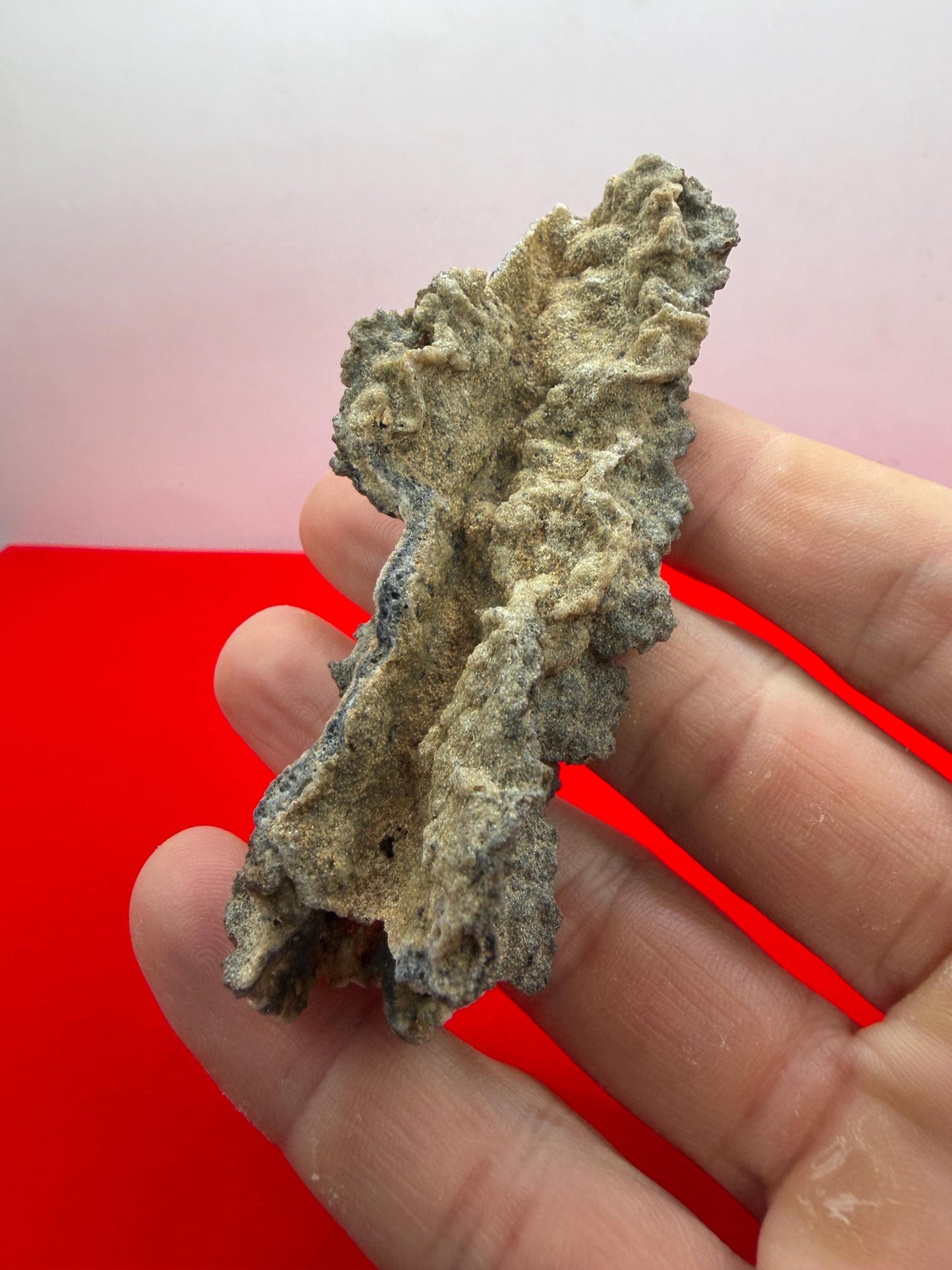 Sahara Desert Fulgurite: Lightning Glass, Fossilized Lightning, Energy Work, 14.55 grams