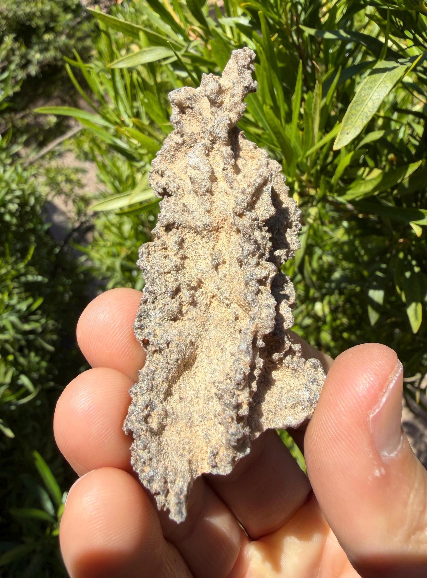 Sahara Desert Fulgurite: Lightning Glass, Fossilized Lightning, Energy Work, 10.30 grams