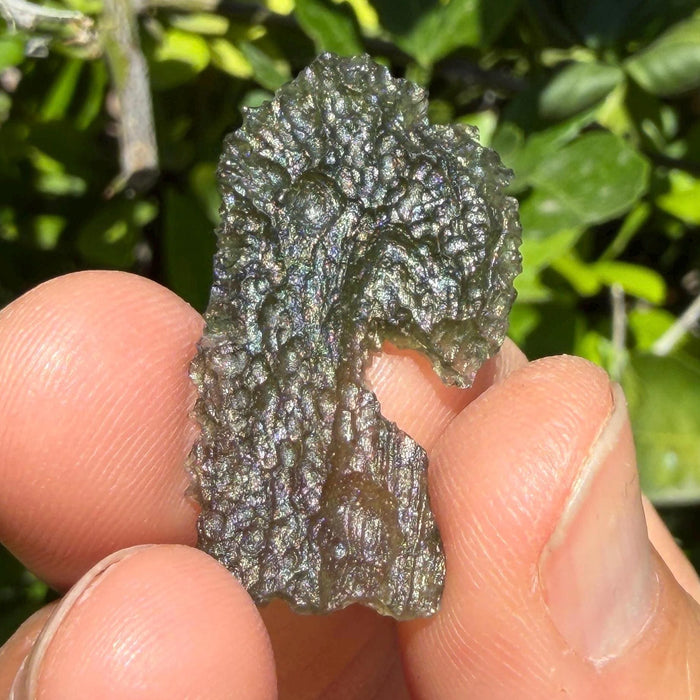 Authentic Moldavite Tektite Specimen: 2.80 grams, Reiki Talisman
