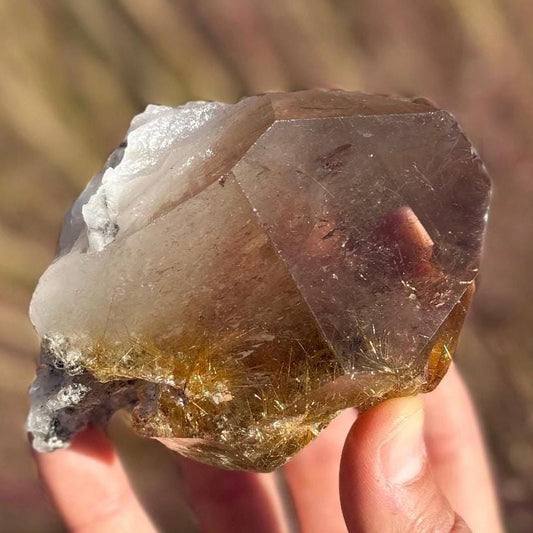 Rare Golden Rutilated Quartz Crystal: Brazilian Fine Crystal, 348g