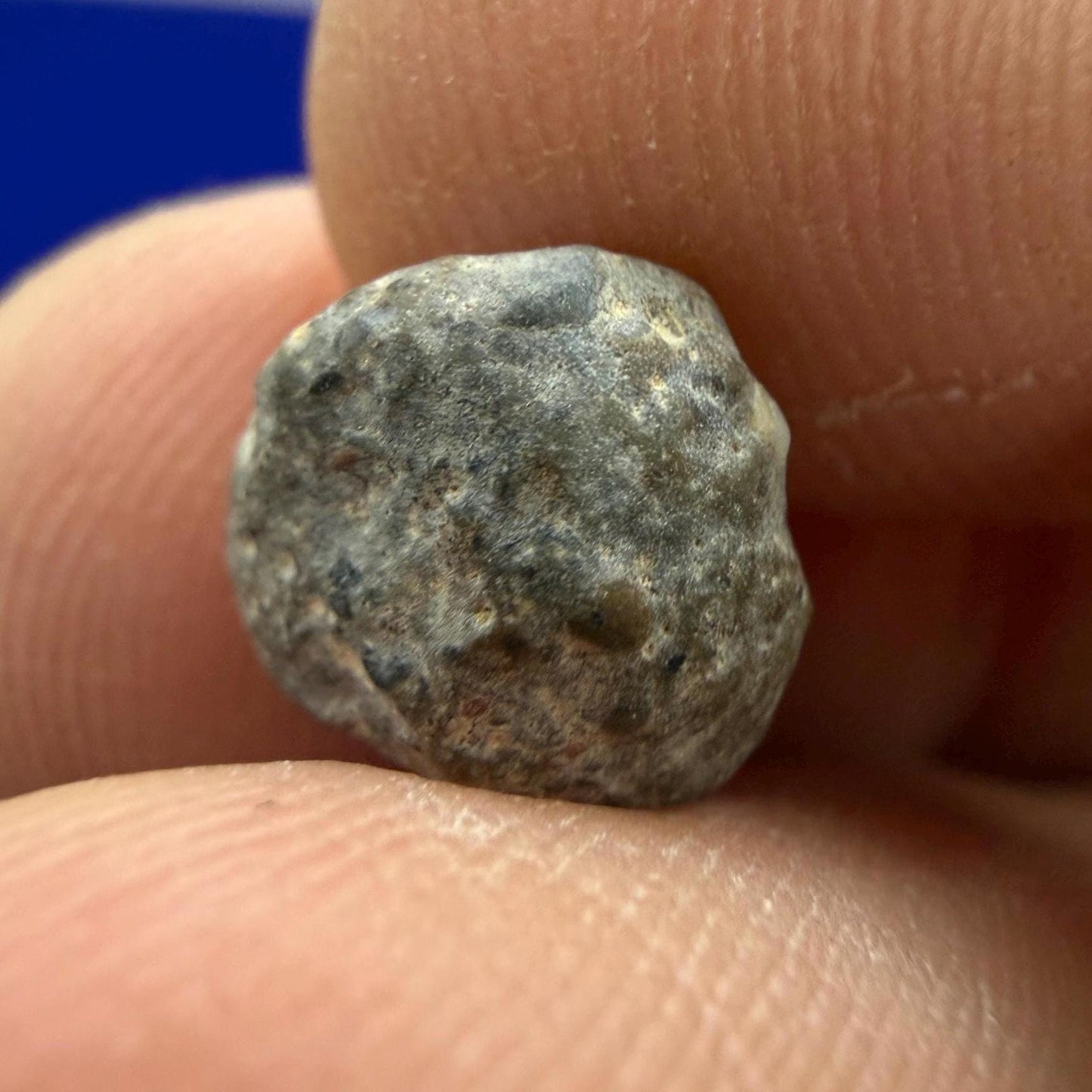 NWA 13974 Lunar Meteorite: Feldspathic Breccia, Moon Rock, 0.81 grams