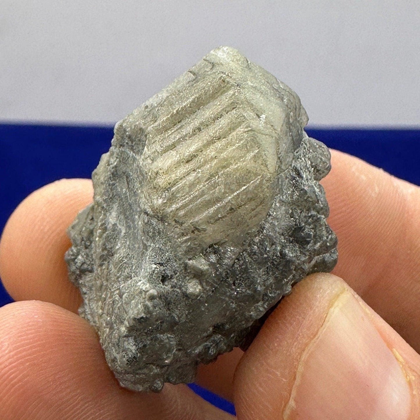 Brazilian Phenacite Crystal: Authentic Phenacite, Metaphysical Gemstone, 17.65g/88ct