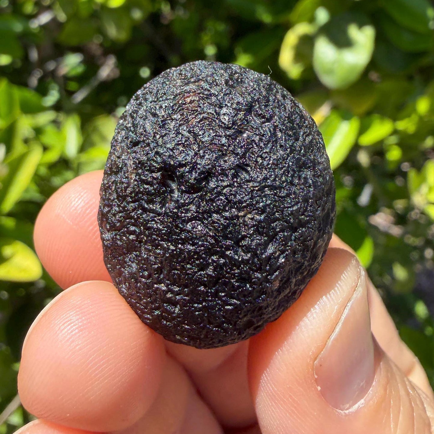 Saffordite Stone, Rare Cintamani, Arizona Tektite, 18.50 Grams