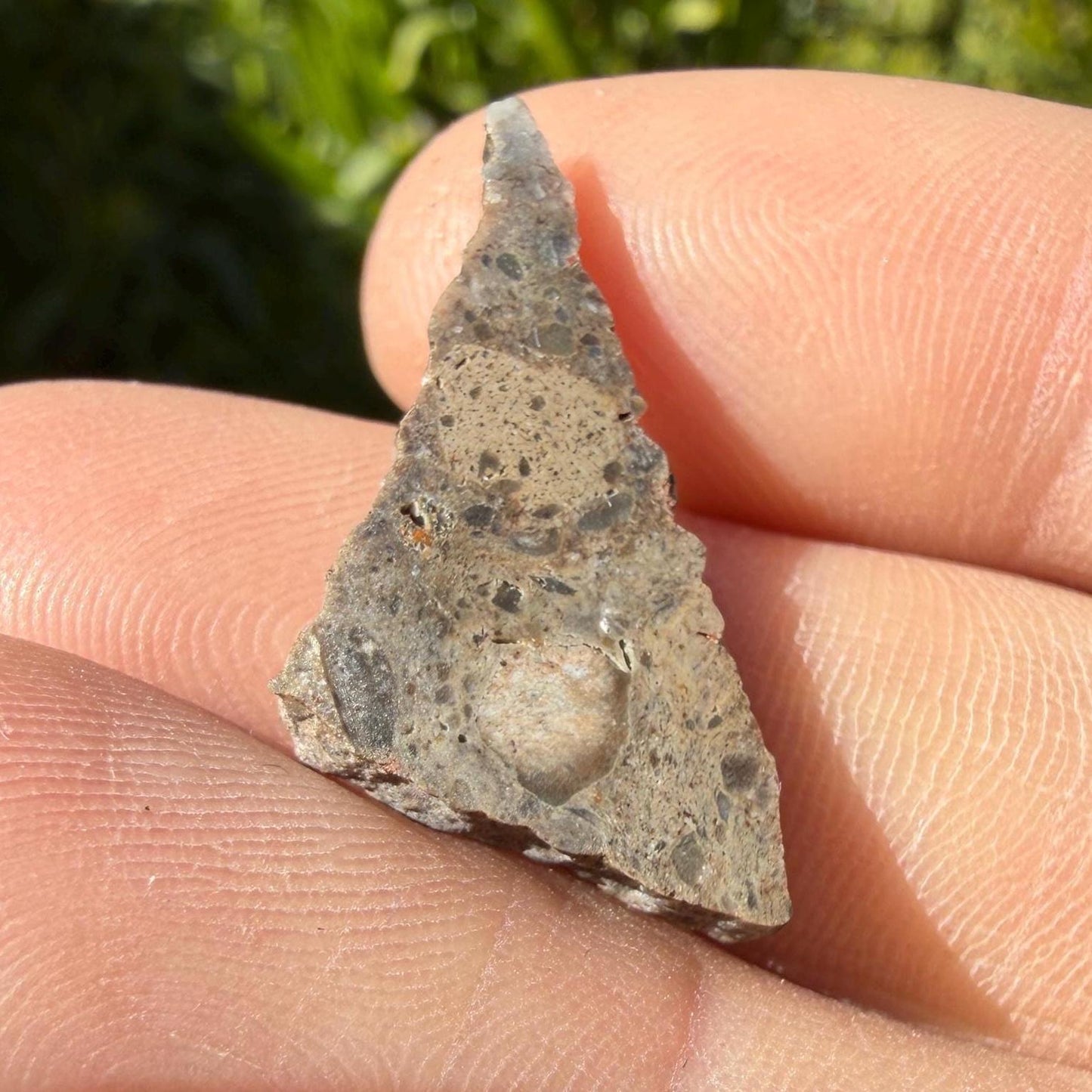 Oued el Hamim 001 Lunar Meteorite Slice, Aqueously Altered Moon Rock (1.48g)