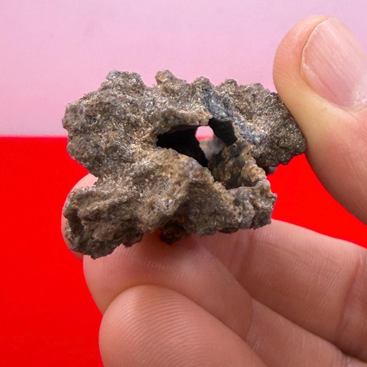 Sahara Desert Fulgurite: Lightning Glass, Fossilized Lightning, Energy Work, 12.38 grams