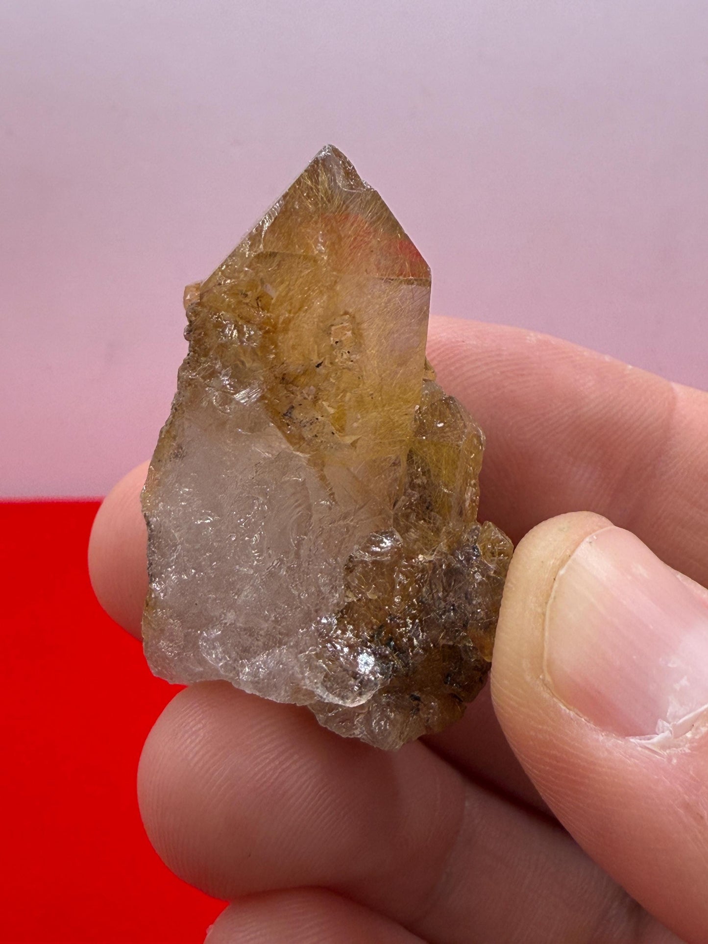 Golden Rutilated Quartz Crystal: Brazilian Fine Crystal, 18.98g
