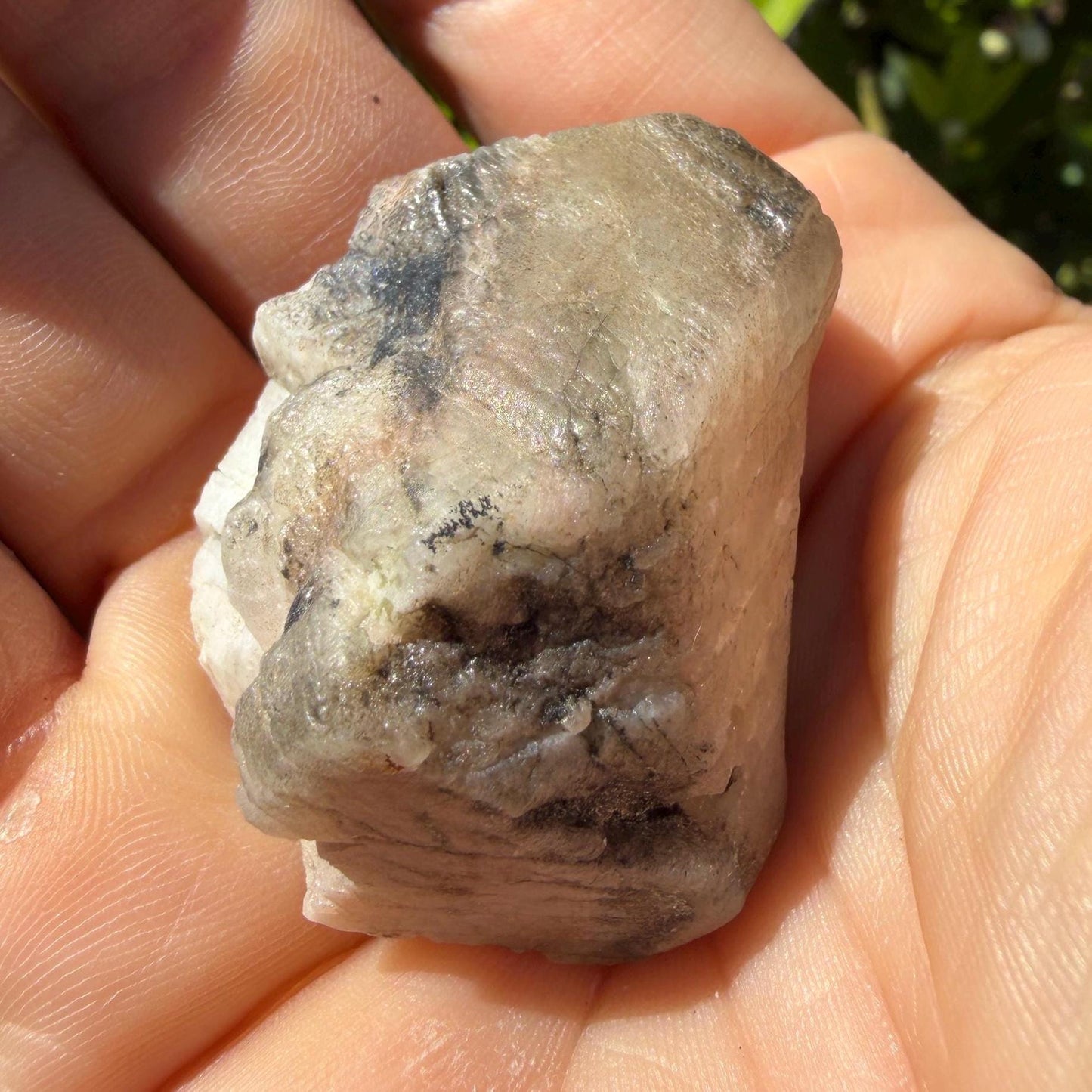 Brazilian Phenacite Crystal: High Vibration Meditation Crystal, 39.56g/198ct