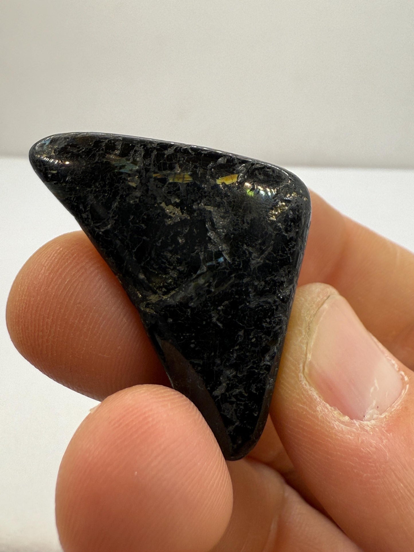 Polished Nuummite Stone: Greenland Gemstone with Display Case, Talisman, 18.89 grams