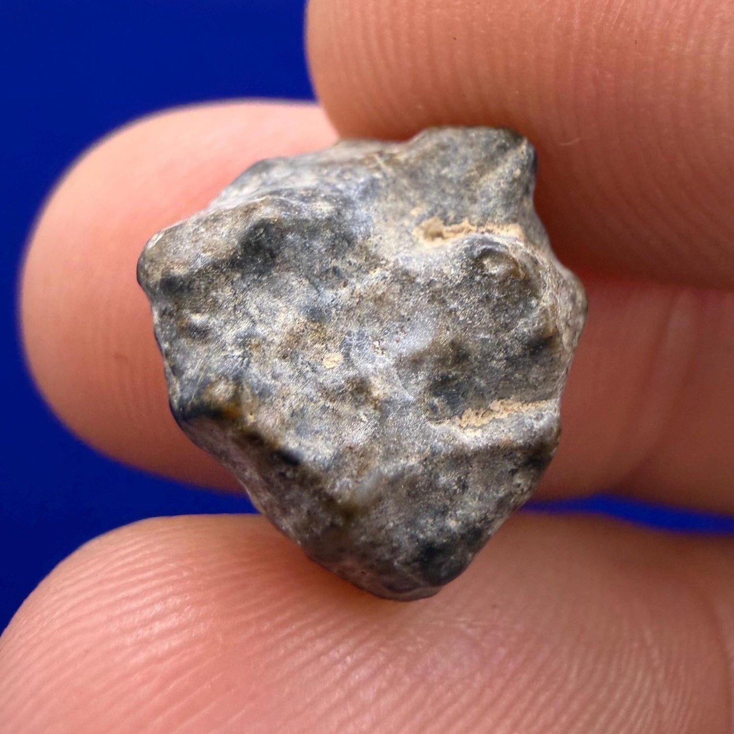 NWA 13974 Lunar Meteorite - Feldspathic Breccia, 2.45 grams