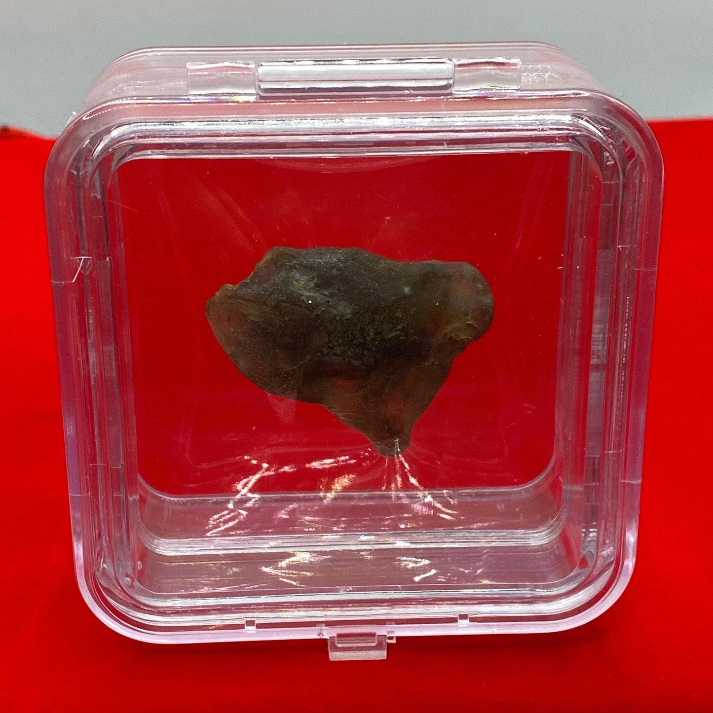Libyan Desert Glass Tektite: Golden Green Talisman, Rare and Unique Tektite, 15.70 grams