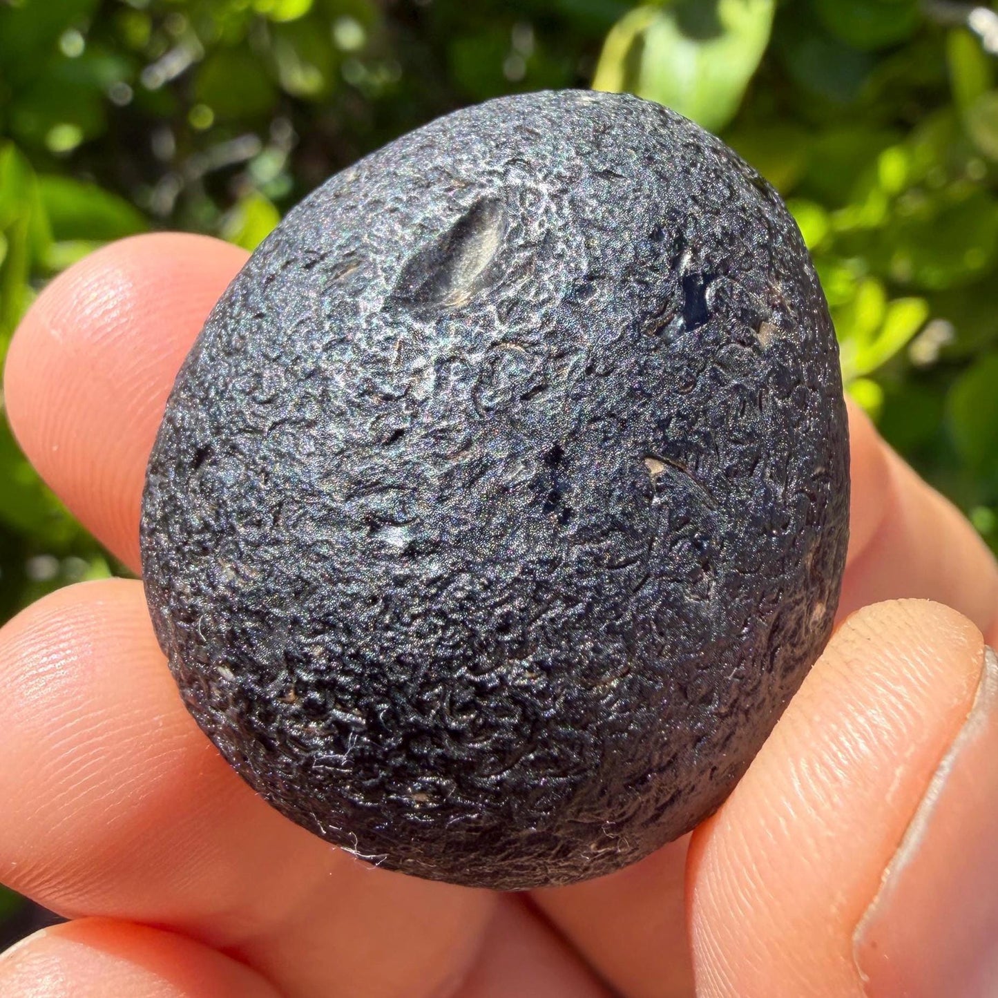 Saffordite Stone, Rare Cintamani, Arizona Tektite, 26.63 Grams