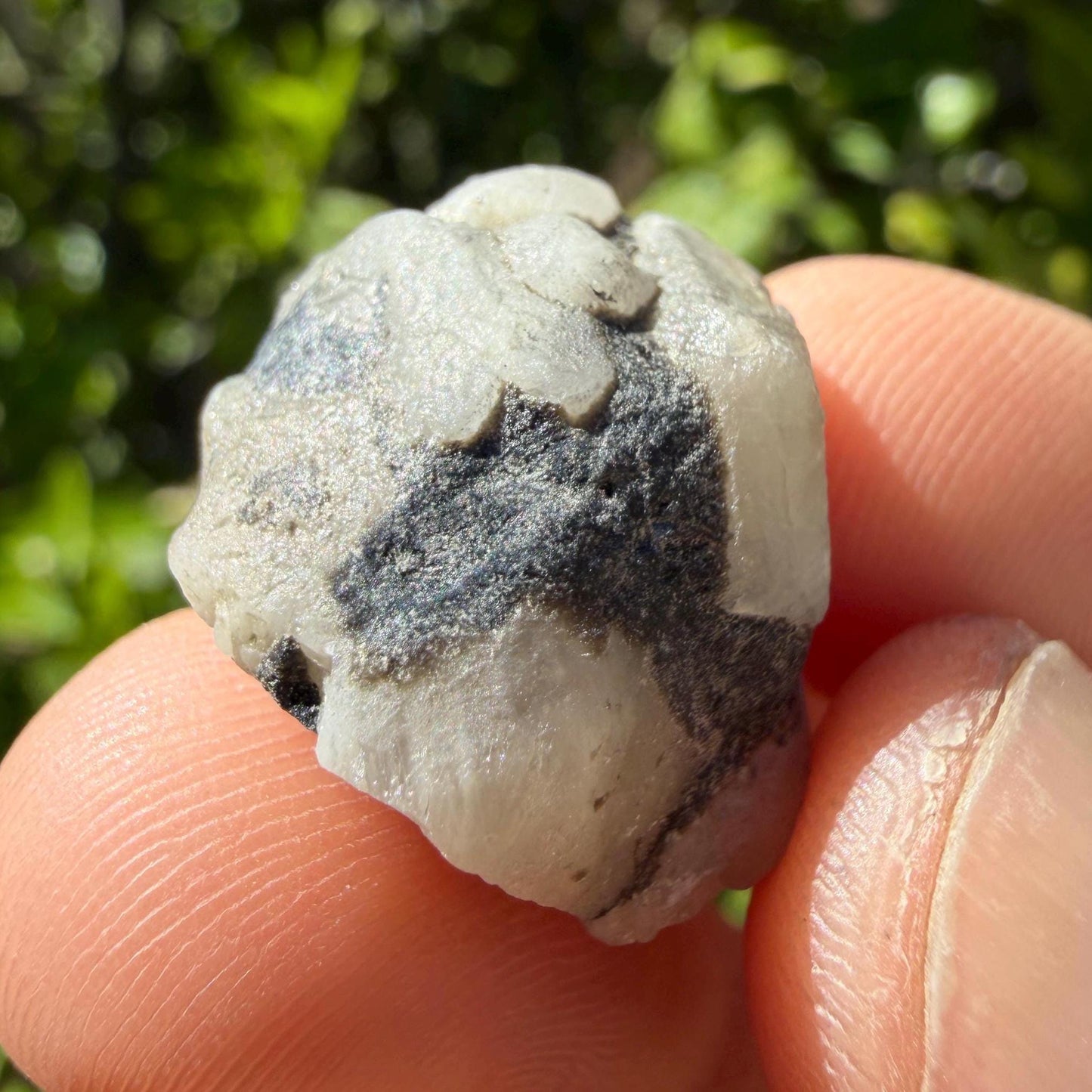 Brazilian Phenacite Crystal: High Vibration Meditation Crystal, 8.0g/40ct