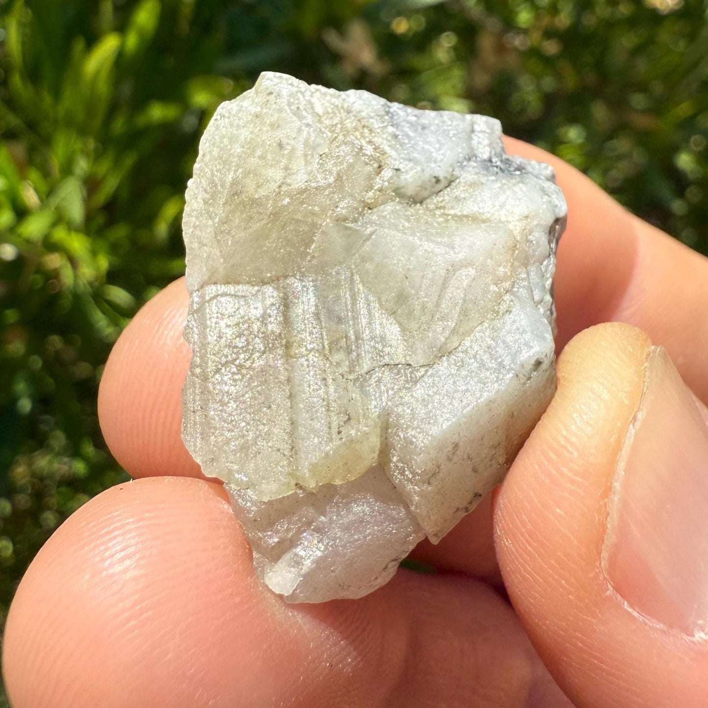 Brazilian Phenacite Crystal: Carnaiba Mine Specimen, Meditation Stone, 12.88g/65ct