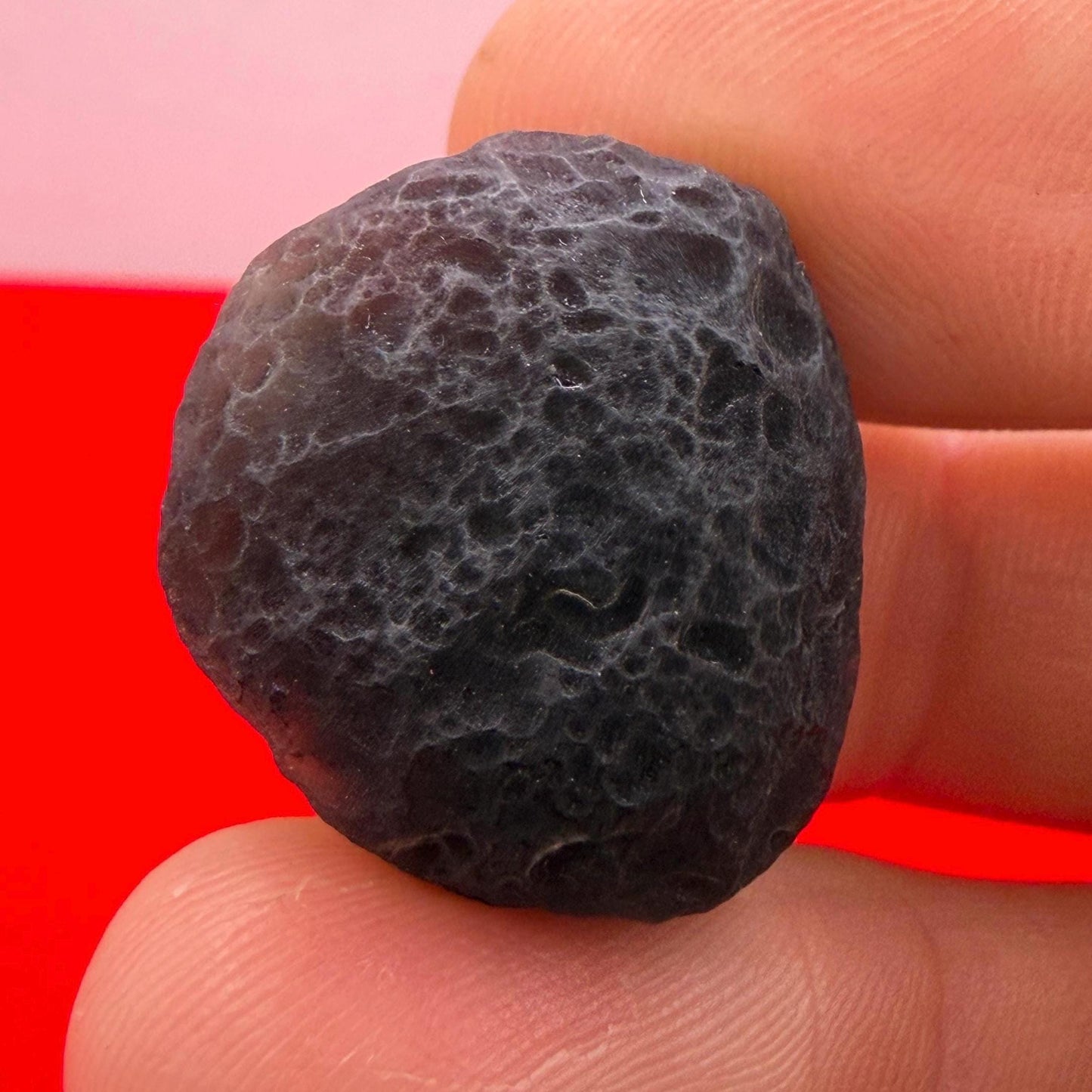 Saffordite Stone, Rare Cintamani, Arizona Tektite, 10.00 Grams