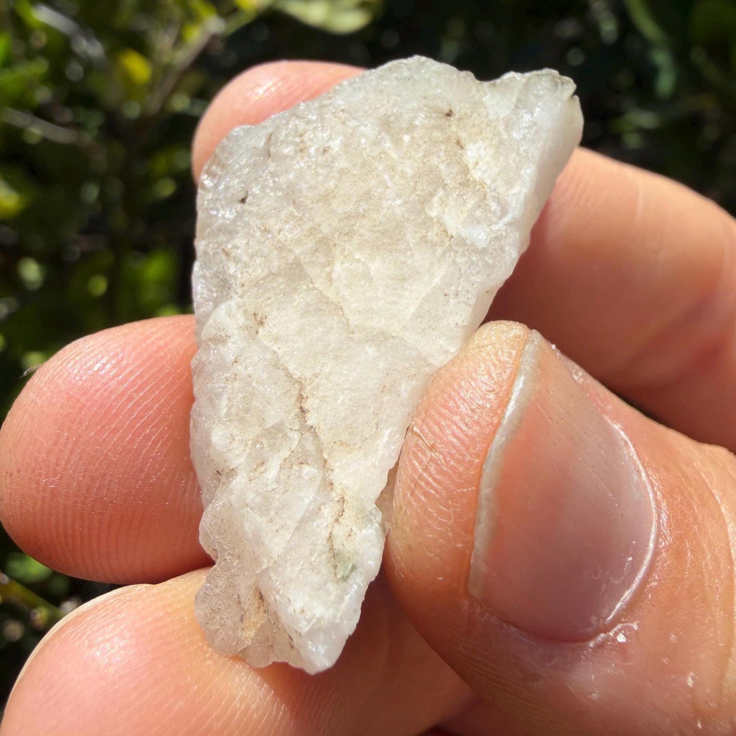 Brazilian Phenacite Crystal: High Vibration Meditation Crystal, 10.21g/51.05ct