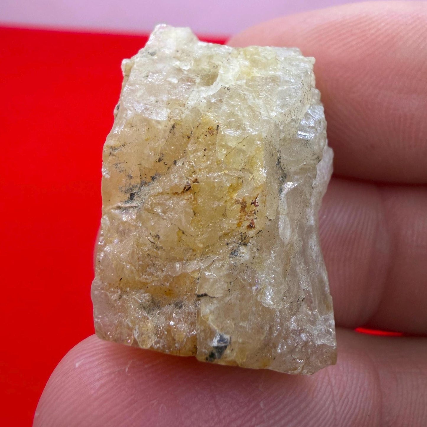 Golden Brazilian Phenacite Crystal: High-Vibration Gemstone, 8.25g/41.25ct