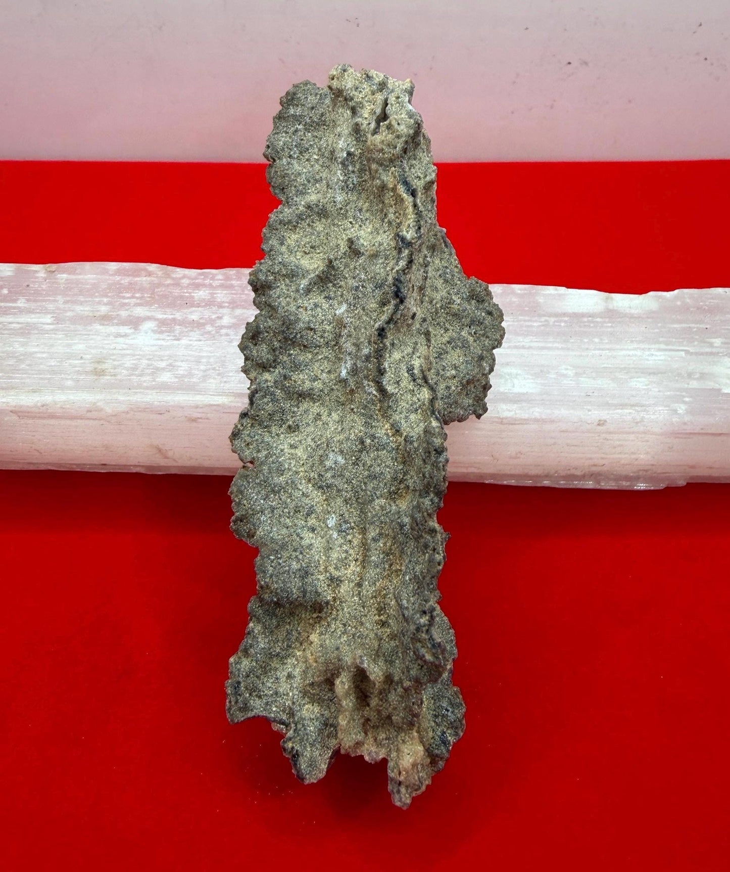 Sahara Desert Fulgurite: Lightning Glass, Fossilized Lightning, Energy Work, 14.55 grams