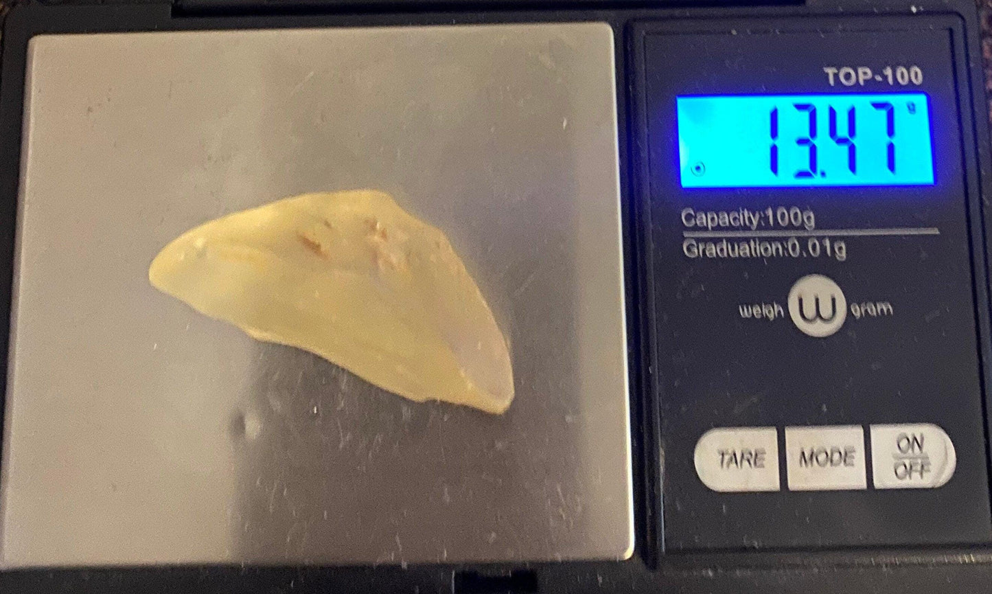 Rare Libyan Desert Glass: Golden Tektite Talisman, 13.47 grams