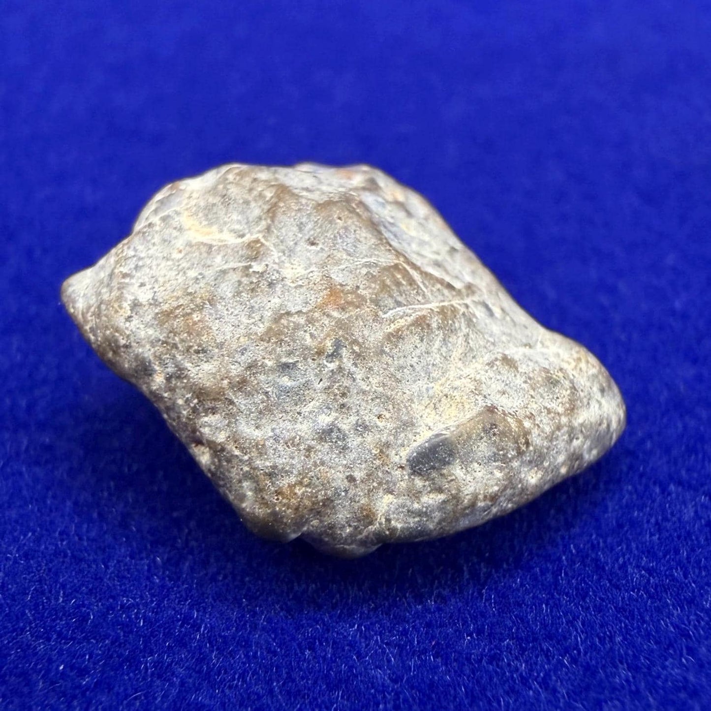 NWA 13974 Lunar Meteorite - Feldspathic Breccia, 1.46 grams